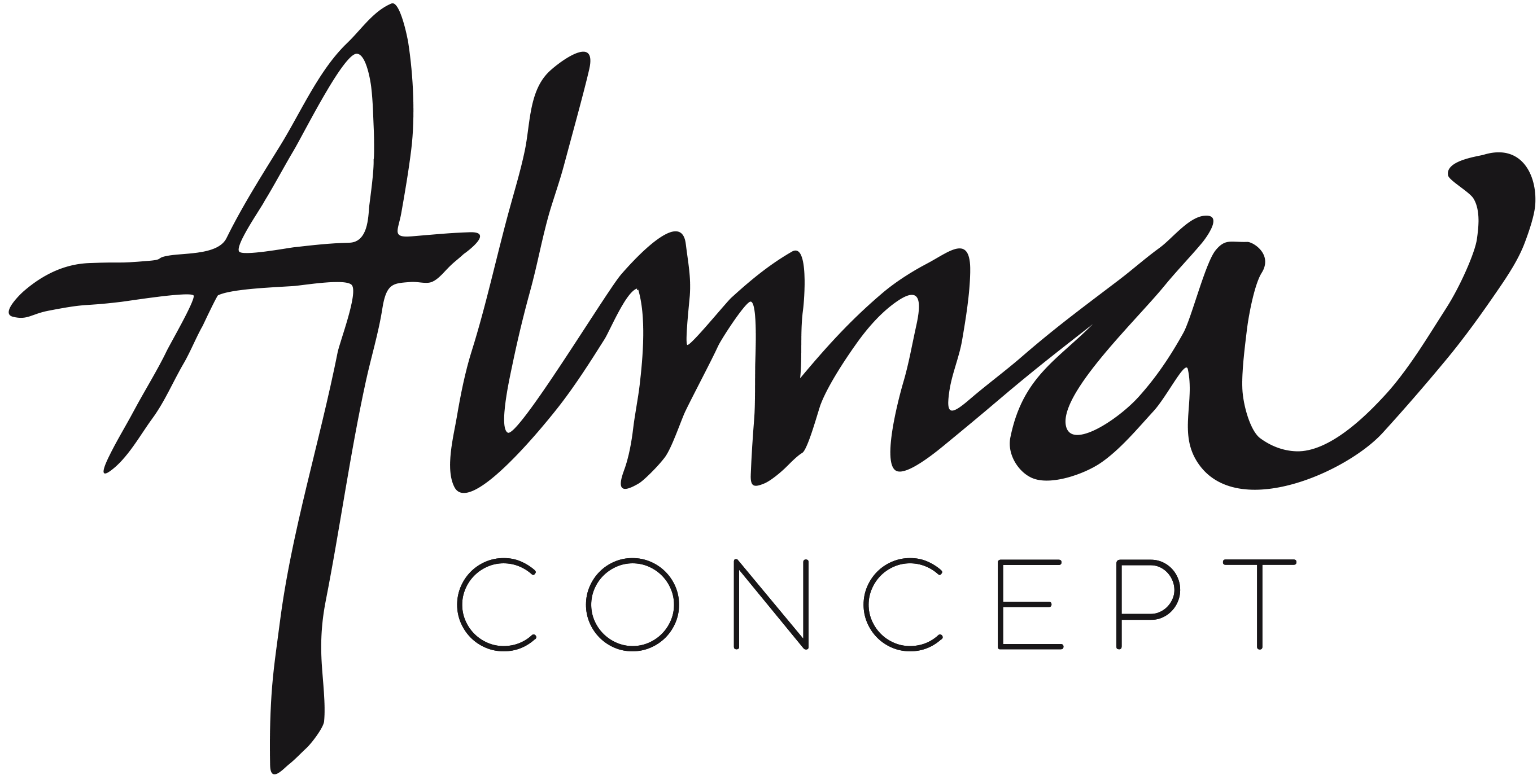 Alma Concept - Locação e Venda de Vestidos e Camisas de Renda Renascença